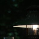 새벽-숲 이미지