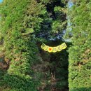 미로당구장 이미지