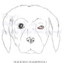 (주)아이펫브랜드 이미지