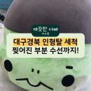 탈 | 대구 경북 인형탈 세척 전문: 찢어진 부분 수선까지 진행한 인형탈 세탁 후기