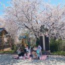 해찬솔어린이집 이미지