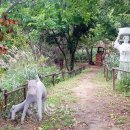 황부자 며느리 친정가는 둘레길 이미지