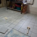 신월동247 이미지