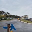 신양항 광장 이미지