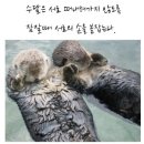우정PC 이미지