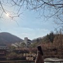 숲PC | 4월 경기도 근교 가볼만한곳 경기도 광주 화담숲 지금 가지마세요!! 솔직후기
