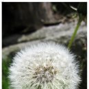 지리산오도재관광농원 이미지