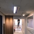 메디테스 이미지