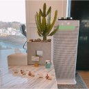 바디플랜짐 이미지