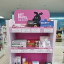 금호스타약국 이미지