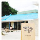 말티즈민박