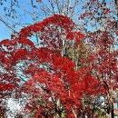 계남초교 이미지