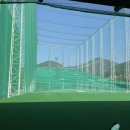 조이디골프 이미지