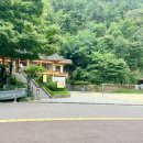 호랭이카 이미지