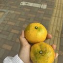 삼십구 번째 발자국👣