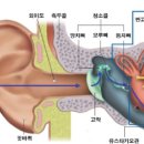 광주보청기 난청이명센터 이미지