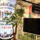 브룩스캣슬