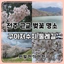 (주)영화정비 | 전북 완주 구이저수지 벚꽃길 후기 | 전주 근교 벚꽃 명소 산책 데이트 코스