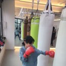 복싱그자체 이미지