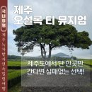 썬프라자 삼거리 교통섬 | 제주도 녹차밭 4월 여행 오설록 티 뮤지엄 강아지 동반