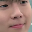 여행플러스