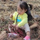 춤새마을농촌체험마을 이미지