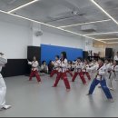 동아대하이태권도 이미지