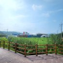 경안천 유방동 이미지