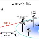 HFC 망... 이미지