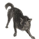 도그도감 이미지