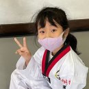 청도경희대태권도장 이미지