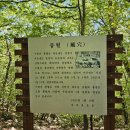 속리산알프스야영장 | 〔블랙야크 100대 명산〕 충북 알프스 '보은 구병산'