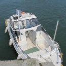 섬을찾는사람들 이미지