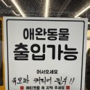 (주)바이오사료연구소 | 안산 본오동 삼겹살 맛집 가성비 고기집 [삼겹연구소 안산본오본점] 후기