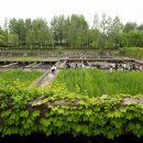 신선공원 이미지