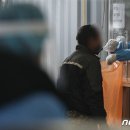 미접종자 350만여명.."안티백서 치료비, 국가 전액지불 멈춰야" 이미지