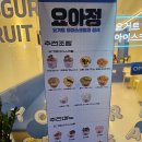 요아정오산 | 요즘 핫한 오산 요아정 후기 메뉴 꿀조합 내돈내산