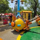 처갓집양념치킨 과천점 | [6월 일상] 서울랜드 할인 및 날씨 후기