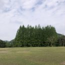 애견별장 이미지