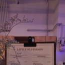 리틀 블루문 이미지