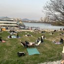 코알라패밀리 이미지