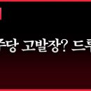 RE:RE: 내란 정당 조장 선전선동 유튜버 고발 이미지