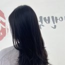 한엔박헤어