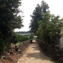 하원동-3 이미지