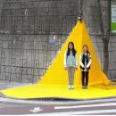 옐로카펫 이미지