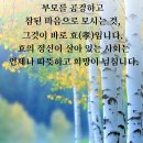 1구역 [10/10(토) 〈제26회 순국선열정신선양 및 한일합동위령제 행사 및 효창원 이봉창 영웅 94주기 숭모제례 봉사활동 참석＞ 이미지