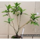 천선농장 이미지