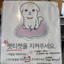 어텀 | 전주 혁신도시 멜로우어텀 두쫀쿠 솔직후기