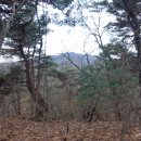 청계산로A 이미지