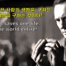 나의 잃은 양(My lost sheep)(눅15:1-7) 이미지